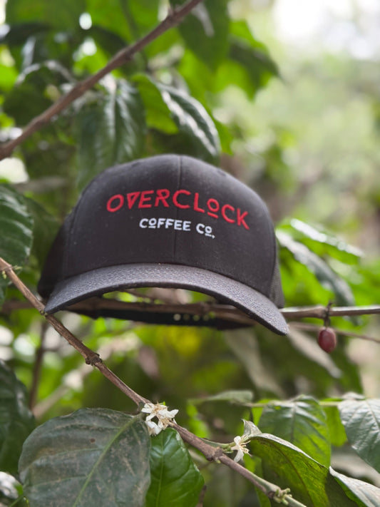 Overclock Hat in Coffee Field